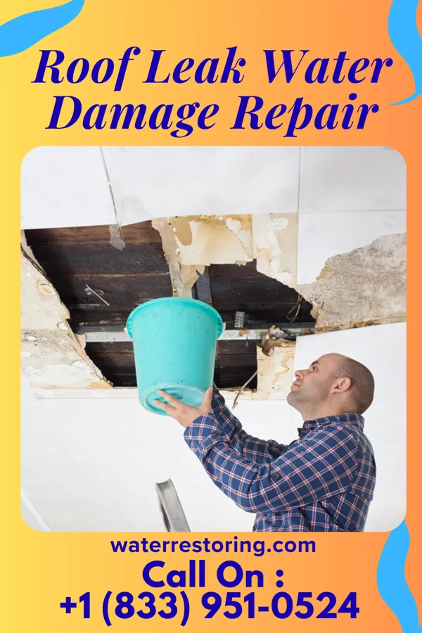 Roof Leak Water Damage Repair in Melvern, KS