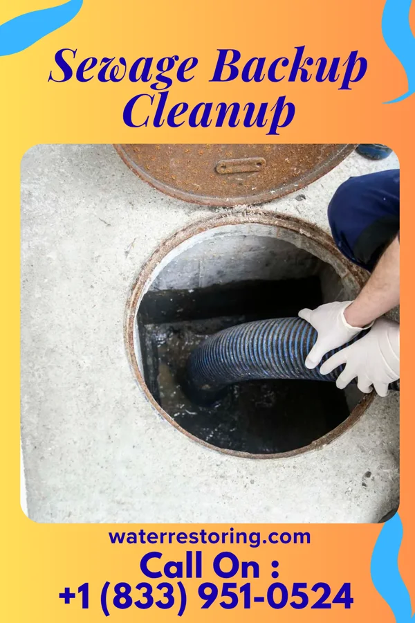 Sewage Backup Cleanup in Melvern, KS